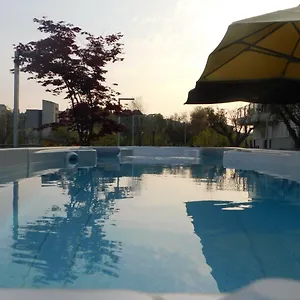 Palace & La Conchiglia D' Oro Hotel